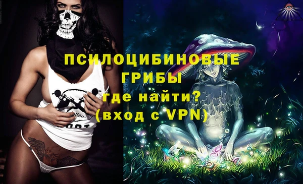индика Красноперекопск