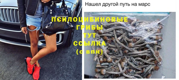 не бодяженный Кукмор