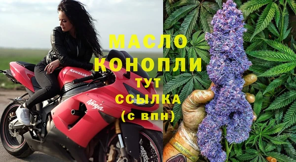 индика Красноперекопск